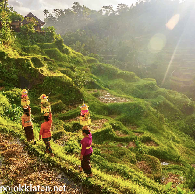 7 Destinasi Wisata Ambon Menelusuri Kekayaan Budaya Alam